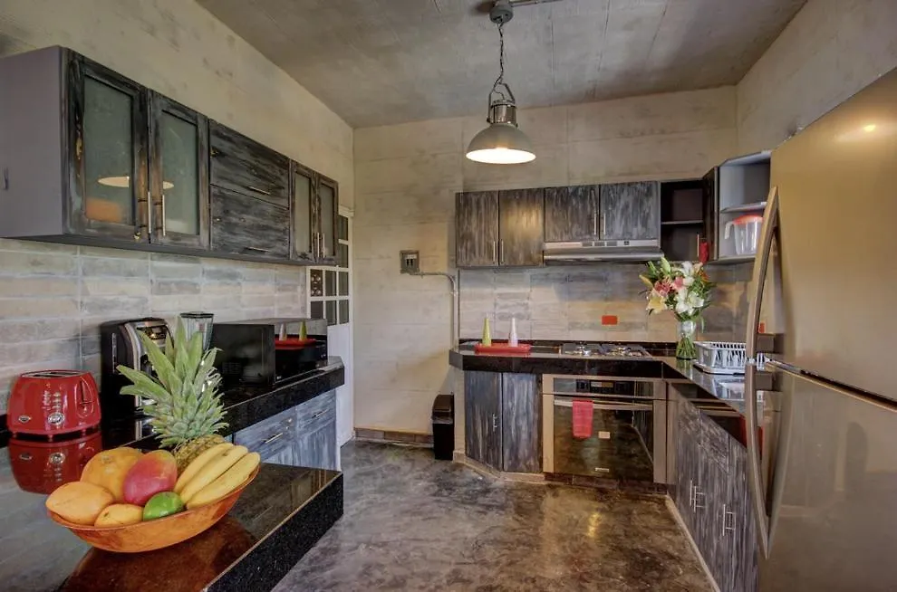 Angelina Apartment Near Mamitas Beach Playa del Carmen Mexico